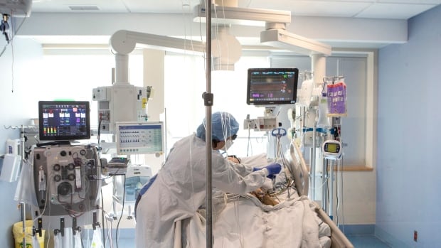 Canadians divided on privatizing wellness care, survey finds