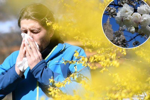 Allergies, pollen could send you to ER this year, Health Dept. warns