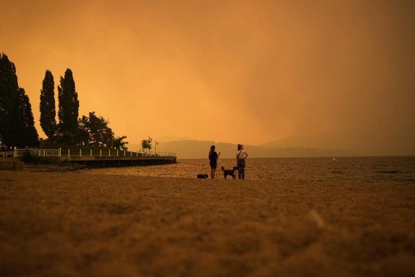 Can wildfire smoke make you sick? Health risks and how to protect yourself