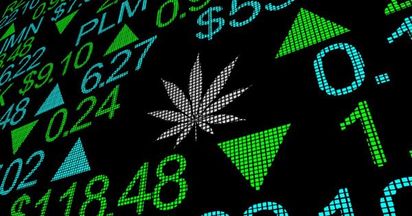 Cannabis stocks on fire as US health department calls for easing restrictions